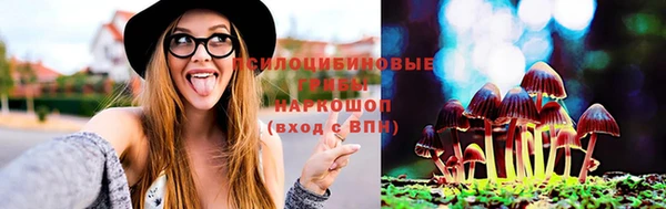 прущий лед Верея