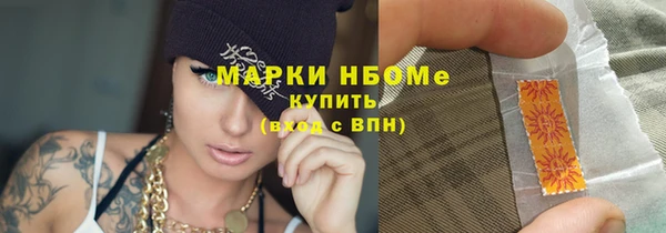 прущий лед Верея