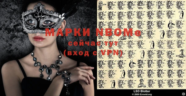мдпв Верхний Тагил