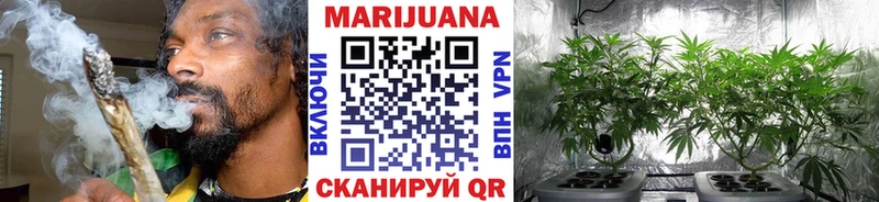 KRAKEN tor  Правдинск  Шишки марихуана тримм 